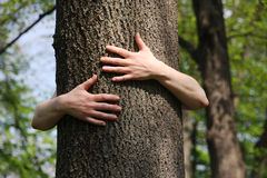 Vacaciones Regeneradoras. Programa de reajuste vital